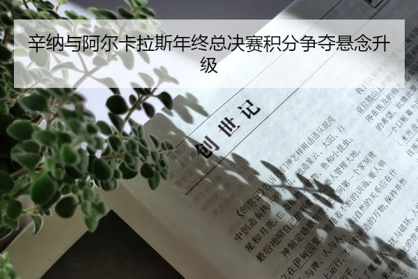 xin-na-yu-a-er-ka-la-si-nian-zhong-zong-jue-sai-ji-fen-zheng-duo-xuan-nian-sheng-ji-2-330.jpg