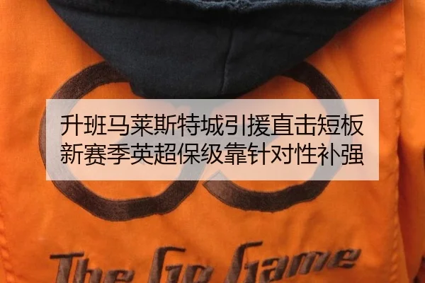 升班马莱斯特城引援直击短板 新赛季英超保级靠针对性补强
